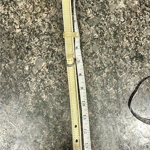 Martha Stewart Gold Textured Belt